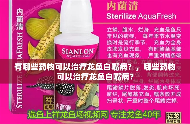有哪些藥物可以治療龍魚白嘴病？，哪些藥物可以治療龍魚白嘴病？
