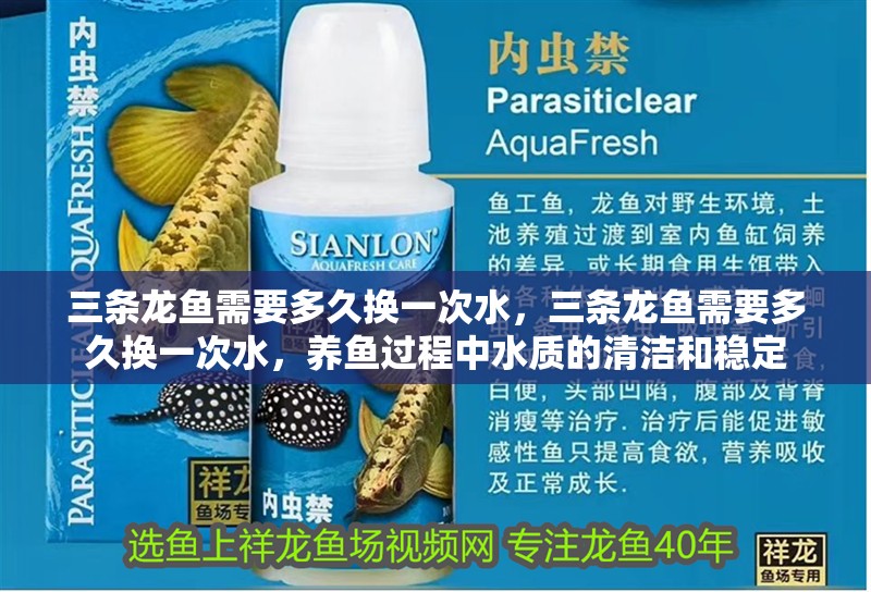 三條龍魚(yú)需要多久換一次水，三條龍魚(yú)需要多久換一次水，養(yǎng)魚(yú)過(guò)程中水質(zhì)的清潔和穩(wěn)定