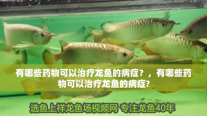 有哪些藥物可以治療龍魚的病癥？，有哪些藥物可以治療龍魚的病癥?