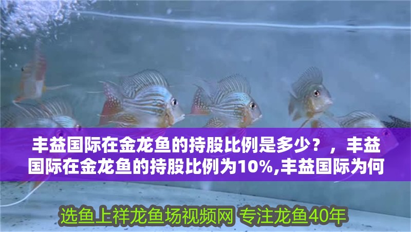 豐益國際在金龍魚的持股比例是多少？，豐益國際在金龍魚的持股比例為10%,豐益國際為何選擇間接持股