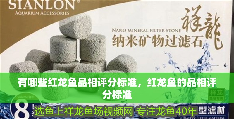 有哪些紅龍魚品相評(píng)分標(biāo)準(zhǔn)，紅龍魚的品相評(píng)分標(biāo)準(zhǔn)