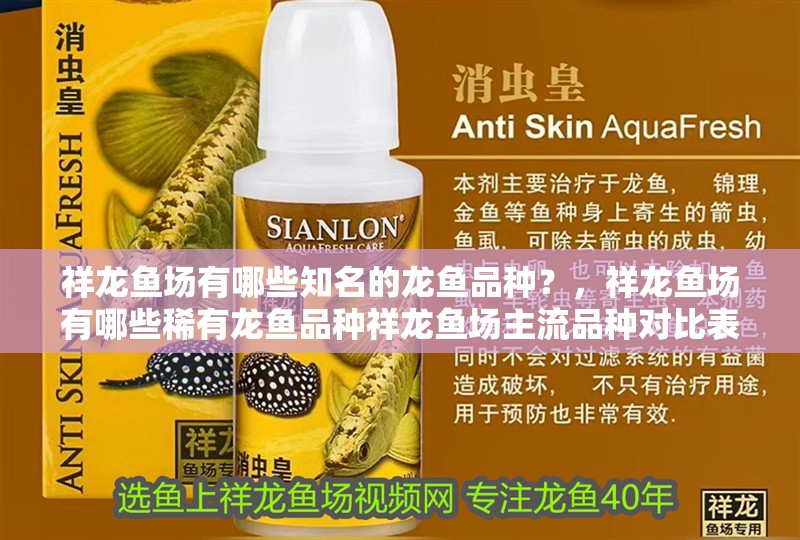 祥龍魚場有哪些知名的龍魚品種？，祥龍魚場有哪些稀有龍魚品種祥龍魚場主流品種對比表