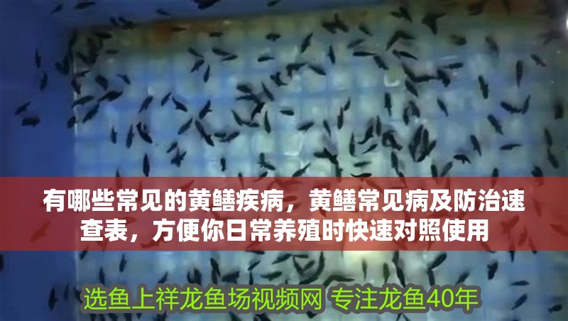 有哪些常見的黃鱔疾病，黃鱔常見病及防治速查表，方便你日常養殖時快速對照使用