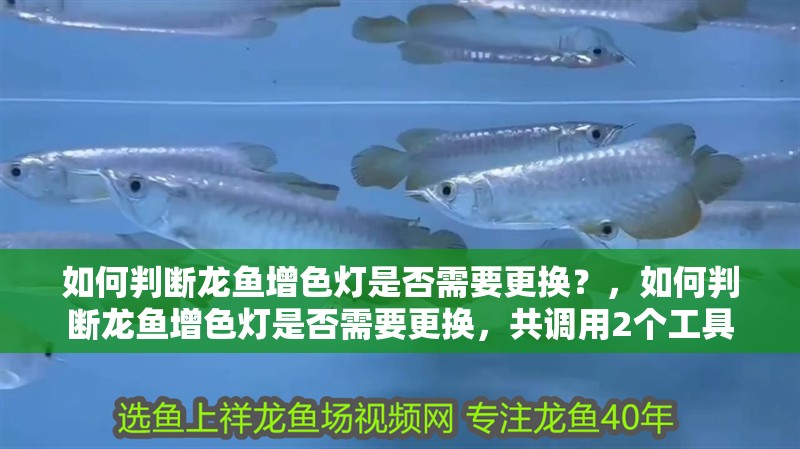 如何判斷龍魚增色燈是否需要更換？，如何判斷龍魚增色燈是否需要更換，共調用2個工具
