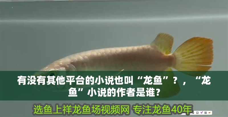有沒有其他平臺的小說也叫“龍魚”？，“龍魚”小說的作者是誰？