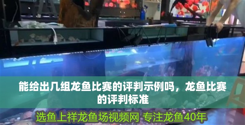 能給出幾組龍魚比賽的評判示例嗎，龍魚比賽的評判標準