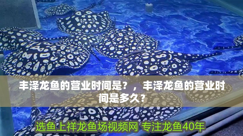 豐澤龍魚的營業時間是？，豐澤龍魚的營業時間是多久？