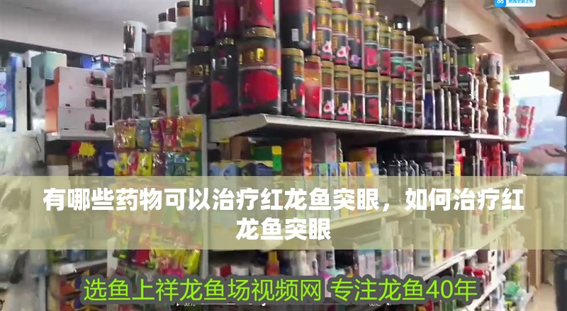 有哪些藥物可以治療紅龍魚突眼，如何治療紅龍魚突眼
