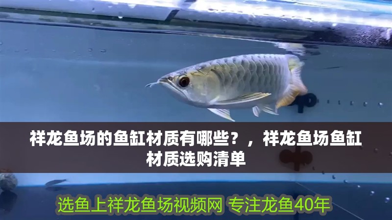 祥龍魚場的魚缸材質有哪些？，祥龍魚場魚缸材質選購清單