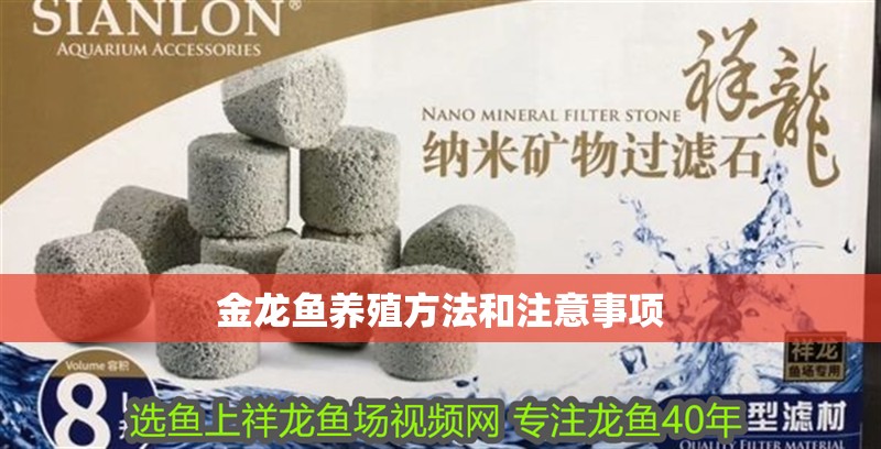 金龍魚養殖方法和注意事項