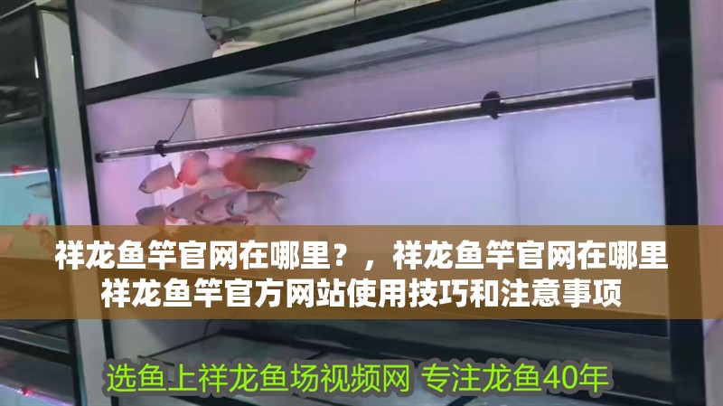 祥龍魚竿官網在哪里？，祥龍魚竿官網在哪里祥龍魚竿官方網站使用技巧和注意事項