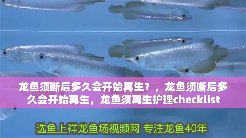 龍魚須斷后多久會開始再生？，龍魚須斷后多久會開始再生，龍魚須再生護(hù)理checklist