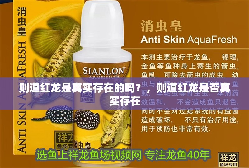 則道紅龍是真實(shí)存在的嗎？，則道紅龍是否真實(shí)存在