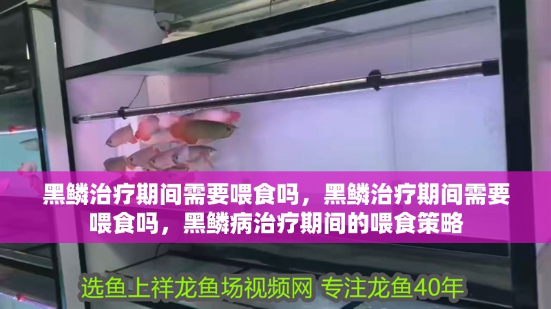 黑鱗治療期間需要喂食嗎，黑鱗治療期間需要喂食嗎，黑鱗病治療期間的喂食策略