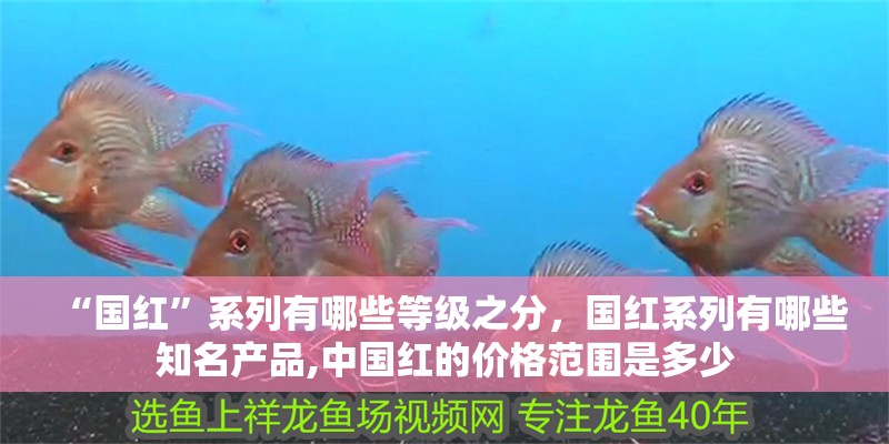 “國紅”系列有哪些等級之分，國紅系列有哪些知名產(chǎn)品,中國紅的價(jià)格范圍是多少