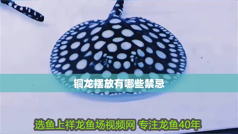 銅龍擺放有哪些禁忌