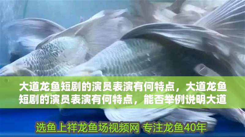 大道龍魚短劇的演員表演有何特點，大道龍魚短劇的演員表演有何特點，能否舉例說明大道龍魚短劇的演員有哪些新人？
