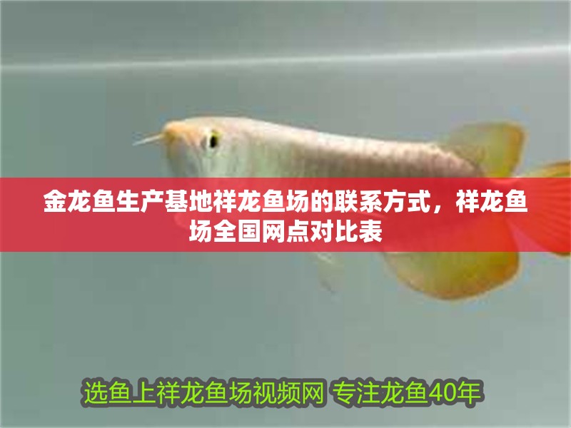 金龍魚生產基地祥龍魚場的聯系方式，祥龍魚場全國網點對比表