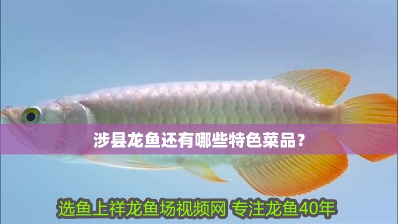 涉縣龍魚還有哪些特色菜品？