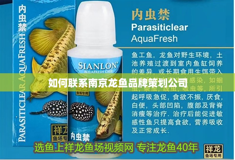如何聯系南京龍魚品牌策劃公司