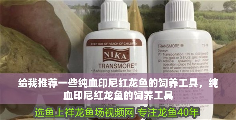 給我推薦一些純血印尼紅龍魚的飼養工具，純血印尼紅龍魚的飼養工具