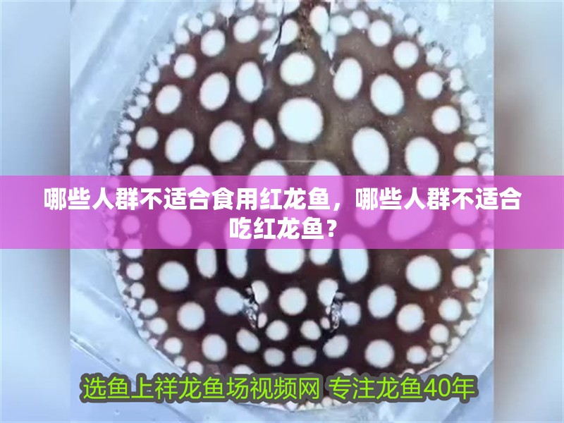 哪些人群不適合食用紅龍魚，哪些人群不適合吃紅龍魚？