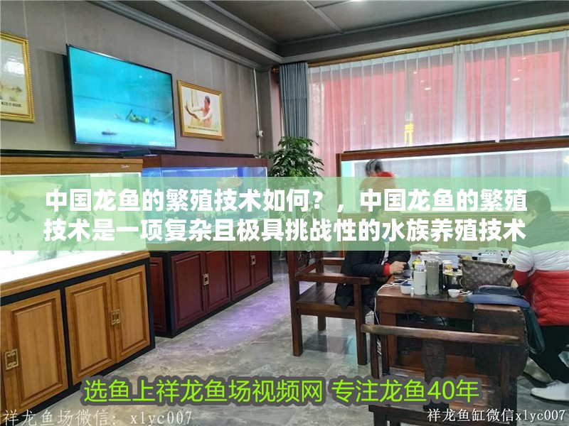 中國龍魚的繁殖技術如何？，中國龍魚的繁殖技術是一項復雜且極具挑戰性的水族養殖技術
