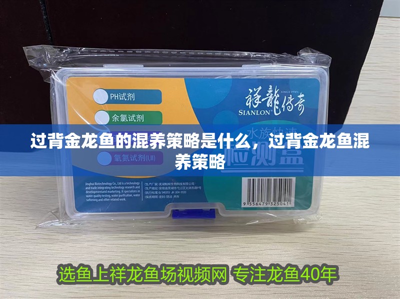 過背金龍魚的混養策略是什么，過背金龍魚混養策略