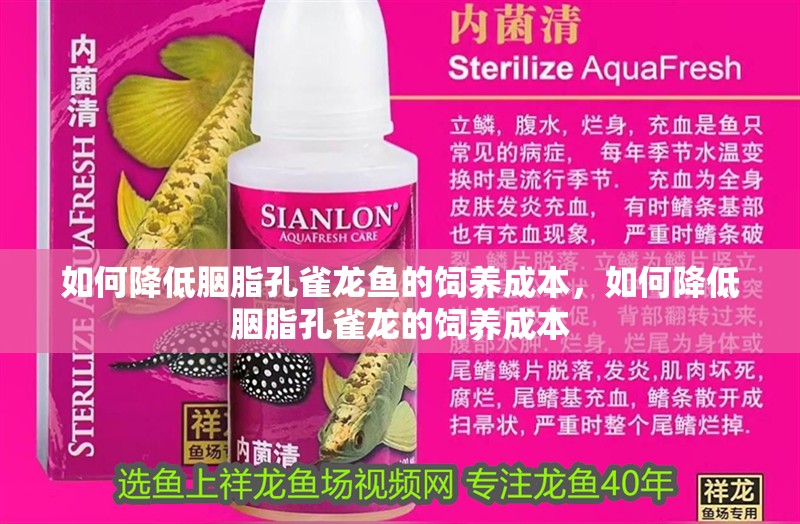 如何降低胭脂孔雀龍魚(yú)的飼養(yǎng)成本，如何降低胭脂孔雀龍的飼養(yǎng)成本