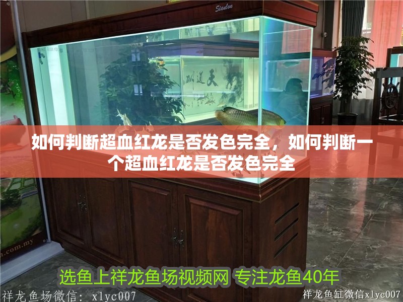 如何判斷超血紅龍是否發色完全，如何判斷一個超血紅龍是否發色完全