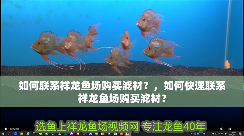 如何聯(lián)系祥龍魚場購買濾材？，如何快速聯(lián)系祥龍魚場購買濾材？