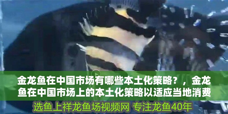 金龍魚在中國市場有哪些本土化策略？，金龍魚在中國市場上的本土化策略以適應當地消費者的需求和偏好