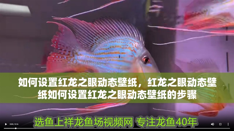 如何設(shè)置紅龍之眼動(dòng)態(tài)壁紙，紅龍之眼動(dòng)態(tài)壁紙如何設(shè)置紅龍之眼動(dòng)態(tài)壁紙的步驟