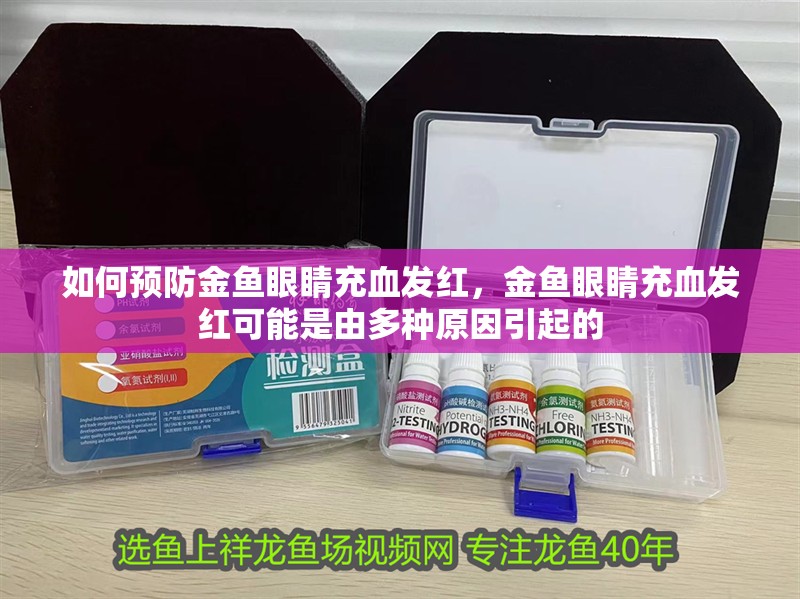 如何預防金魚眼睛充血發(fā)紅，金魚眼睛充血發(fā)紅可能是由多種原因引起的