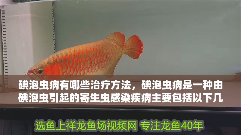 碘泡蟲病有哪些治療方法，碘泡蟲病是一種由碘泡蟲引起的寄生蟲感染疾病主要包括以下幾個方面