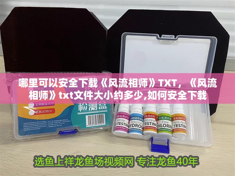 哪里可以安全下載《風流相師》TXT，《風流相師》txt文件大小約多少,如何安全下載