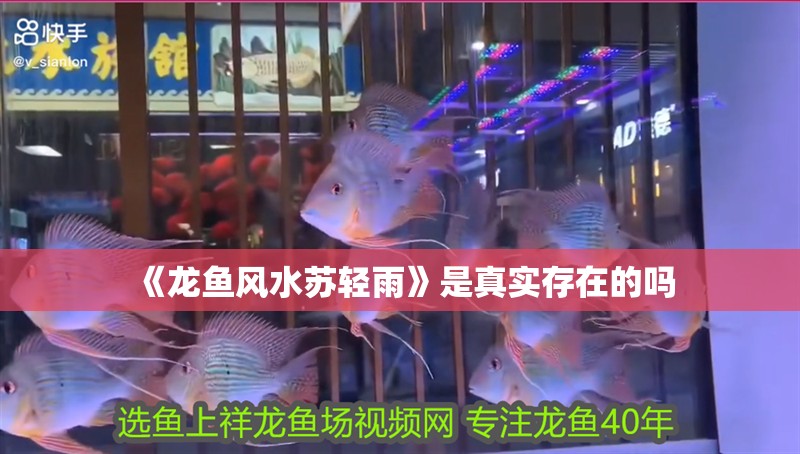 《龍魚風水蘇輕雨》是真實存在的嗎