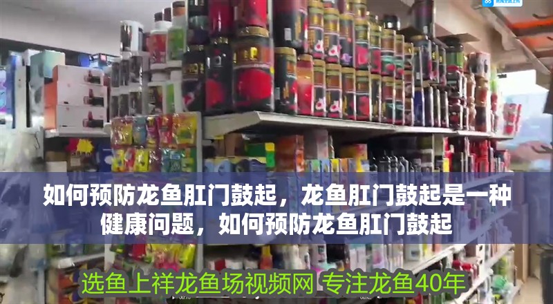 如何預防龍魚肛門鼓起，龍魚肛門鼓起是一種健康問題，如何預防龍魚肛門鼓起