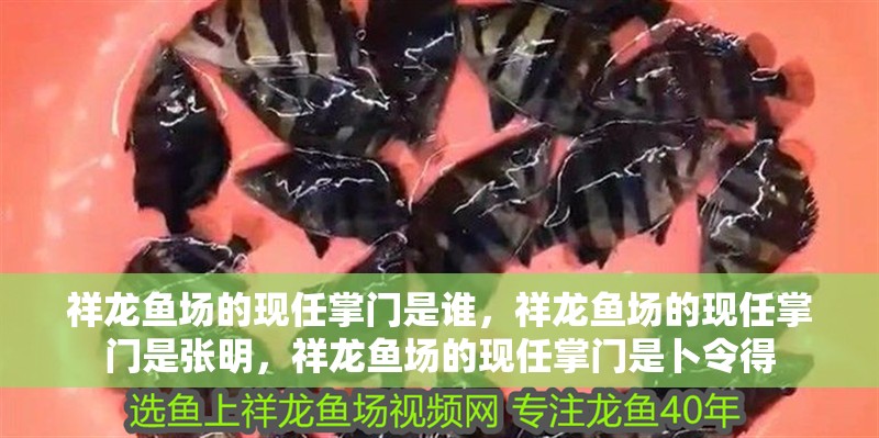 祥龍魚場的現任掌門是誰，祥龍魚場的現任掌門是張明，祥龍魚場的現任掌門是卜令得