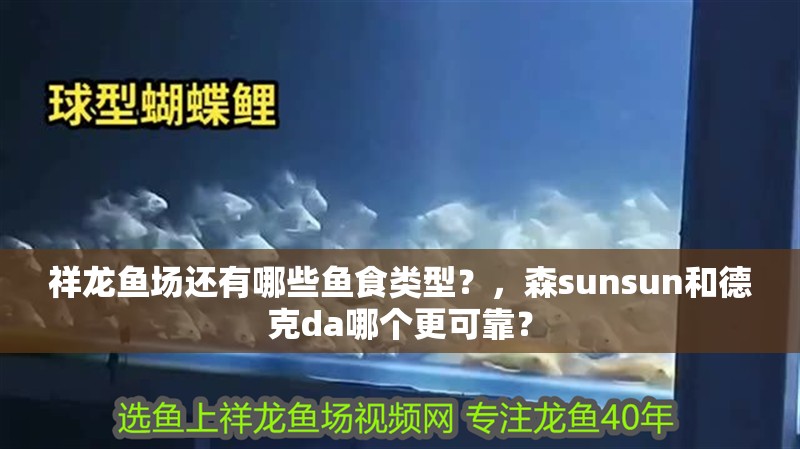 祥龍魚場還有哪些魚食類型？，森sunsun和德克da哪個(gè)更可靠？