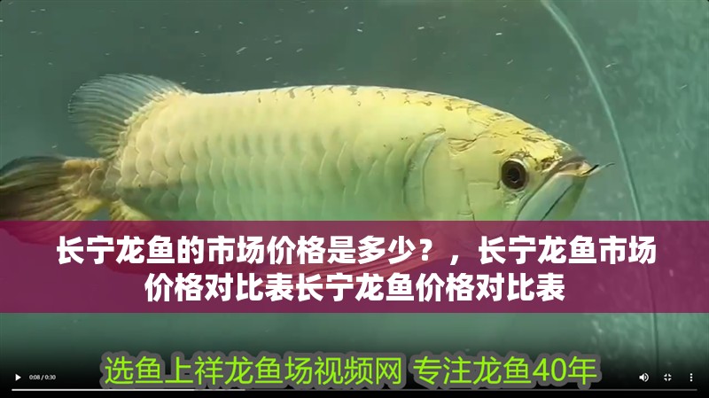 長寧龍魚的市場價格是多少？，長寧龍魚市場價格對比表長寧龍魚價格對比表