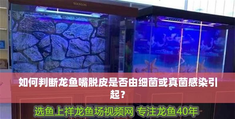 如何判斷龍魚嘴脫皮是否由細菌或真菌感染引起？