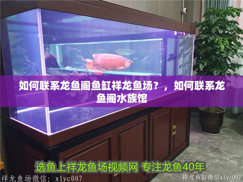 如何聯系龍魚閣魚缸祥龍魚場？，如何聯系龍魚閣水族館