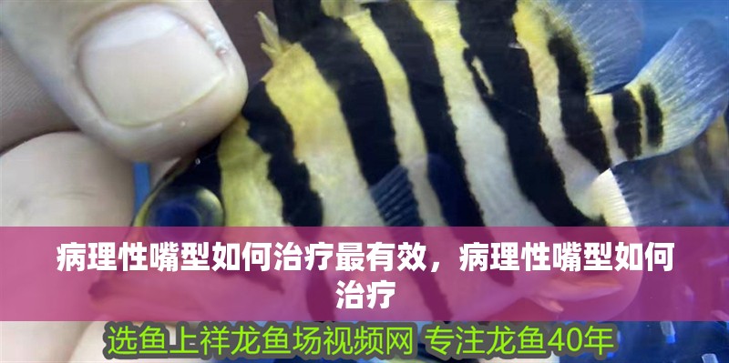 病理性嘴型如何治療最有效，病理性嘴型如何治療