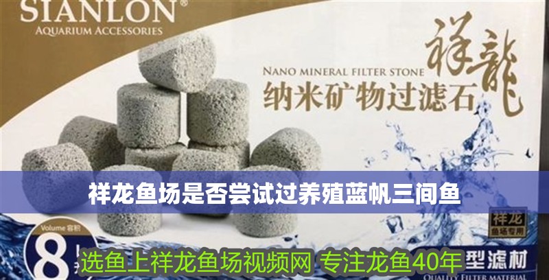 祥龍魚場是否嘗試過養殖藍帆三間魚