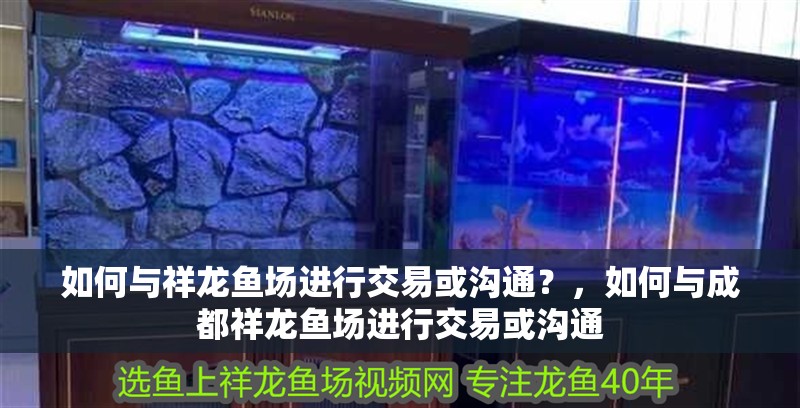 如何與祥龍魚場進(jìn)行交易或溝通？，如何與成都祥龍魚場進(jìn)行交易或溝通