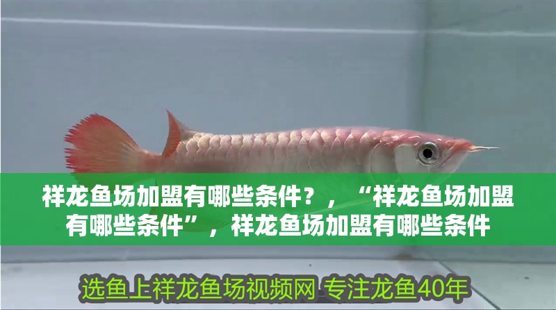 祥龍魚(yú)場(chǎng)加盟有哪些條件？，“祥龍魚(yú)場(chǎng)加盟有哪些條件”，祥龍魚(yú)場(chǎng)加盟有哪些條件