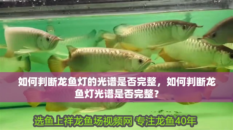 如何判斷龍魚燈的光譜是否完整，如何判斷龍魚燈光譜是否完整？