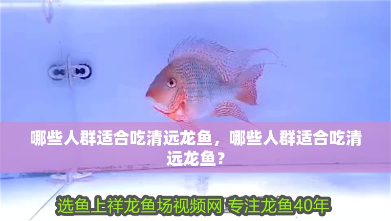 哪些人群適合吃清遠龍魚，哪些人群適合吃清遠龍魚？