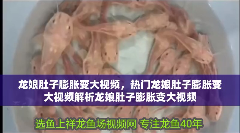 龍娘肚子膨脹變大視頻，熱門龍娘肚子膨脹變大視頻解析龍娘肚子膨脹變大視頻